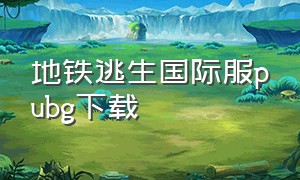 地铁逃生国际服pubg下载