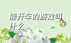 能开车的游戏叫什么（有没有一款开车的游戏）