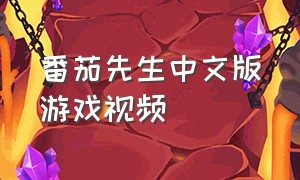 番茄先生中文版游戏视频