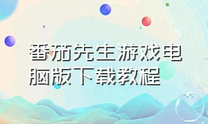 番茄先生游戏电脑版下载教程