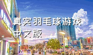 真实羽毛球游戏中文版