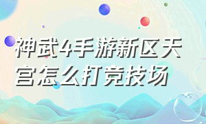 神武4手游新区天宫怎么打竞技场（神武4手游天宫竞技带什么伙伴）