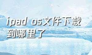 ipad os文件下载到哪里了