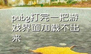 pubg打完一把游戏界面加载不出来（pubg打完一把游戏界面加载很慢）