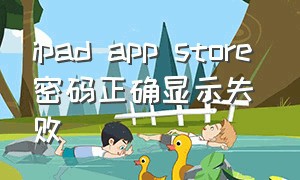 ipad app store 密码正确显示失败