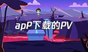 apP下载的PV