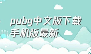 pubg中文版下载手机版最新（pubg官网下载方法手机）