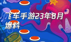 飞车手游23年8月爆料