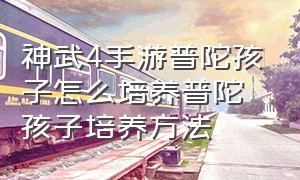 神武4手游普陀孩子怎么培养普陀孩子培养方法