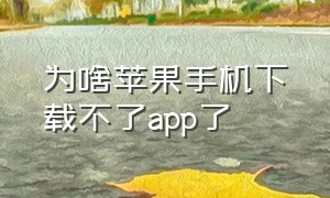 为啥苹果手机下载不了app了