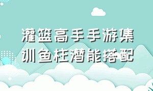 灌篮高手手游集训鱼柱潜能搭配（灌篮高手手游集训鱼柱技能顺序）