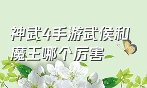 神武4手游武侯和魔王哪个厉害（神武4手游武侯和魔王哪个厉害些）