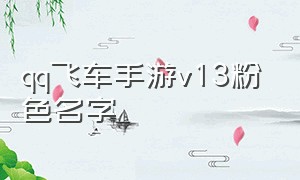 qq飞车手游v13粉色名字