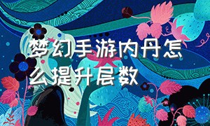 梦幻手游内丹怎么提升层数（梦幻手游高级内丹怎么共鸣）