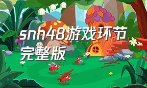 snh48游戏环节完整版