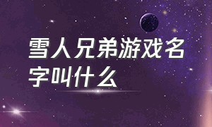 雪人兄弟游戏名字叫什么