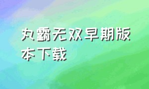 丸霸无双早期版本下载