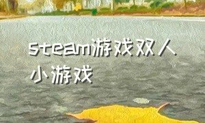 steam游戏双人小游戏