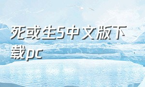 死或生5中文版下载pc