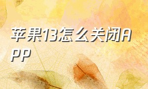 苹果13怎么关闭APP（苹果13怎么关闭启用的app）