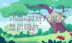 steam游戏介绍不显示图片