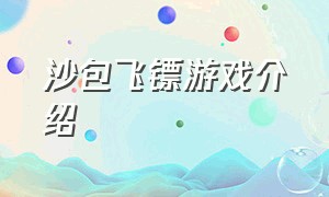 沙包飞镖游戏介绍