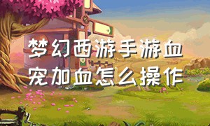 梦幻西游手游血宠加血怎么操作