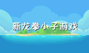 新龙拳小子游戏（最新版本功夫小子游戏）