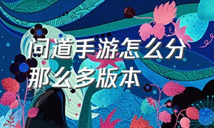 问道手游怎么分那么多版本