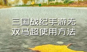 三国战纪手游无双马超使用方法