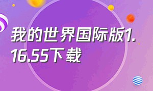 我的世界国际版1.16.55下载