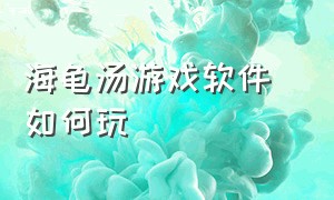 海龟汤游戏软件 如何玩（海龟汤游戏怎么下载）