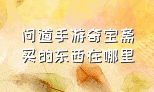 问道手游奇宝斋买的东西在哪里