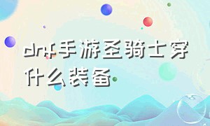 dnf手游圣骑士穿什么装备