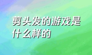 剪头发的游戏是什么样的