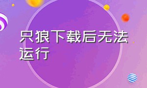 只狼下载后无法运行（只狼电脑重启就要重新下载）