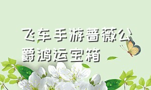 飞车手游蔷薇公爵鸿运宝箱