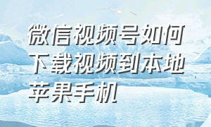 微信视频号如何下载视频到本地苹果手机