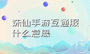 诛仙手游互通服什么意思