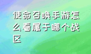 使命召唤手游怎么看属于哪个战区