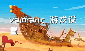 valorant 游戏设置