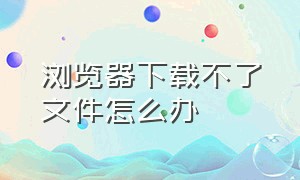 浏览器下载不了文件怎么办