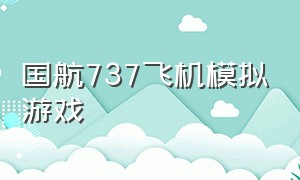 国航737飞机模拟游戏（民航飞机模拟中文版游戏）