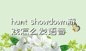 hunt showdown游戏怎么发语音