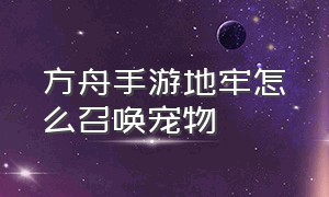 方舟手游地牢怎么召唤宠物（方舟手游高级地牢怎么带宠物进去）