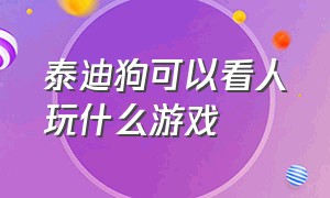 泰迪狗可以看人玩什么游戏