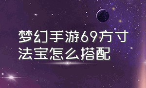 梦幻手游69方寸法宝怎么搭配