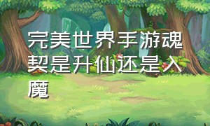 完美世界手游魂契是升仙还是入魔