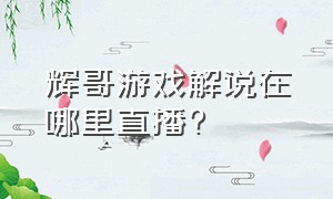 辉哥游戏解说在哪里直播?