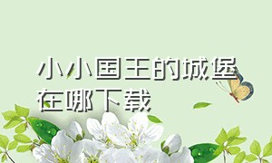 小小国王的城堡在哪下载